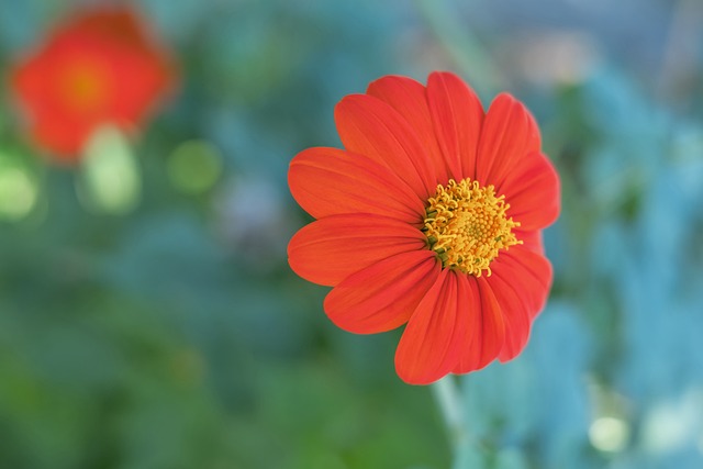 德转统计英超历史戴帽次数前10：阿圭罗12次第1，哈兰德第4